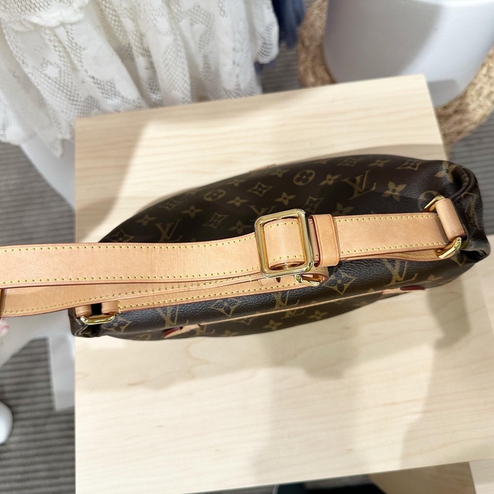 Louis Vuitton Monogram Bumbag - Picture 10 of 16